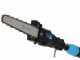 Campagnola T-REX 160-240 - Potatore manuale elettrico a batteria su asta  - Batteria da 21,6V 5 Ah