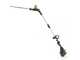Greenworks G60PHT51 - Tagliasiepi su asta di prolunga a batteria 60V/2Ah