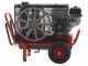 Motocompressore Lisam LM 500/10 - KIT HOBBY 2 Operatori + 2 Abbacchiatori MG Magnesium + 2 aste AT02