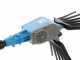 Lisam Oliwatt 2 - Abbacchiatore Elettrico a batteria - Con denti in Nylon - Asta Fissa