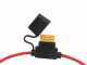 Jolly Italia V50X - Abbacchiatore elettrico a batteria - 36V - con asta telescopica e prolunga Step-Up