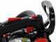 Shindaiwa SDK 251TCS - Motosega da potatura a scoppio - Lama da 20cm