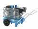 Campagnola MC 548 - KIT Motocompressore 7HP + 2 Abbacchiatori pneumatici Tuono Evo