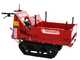 Ceccato Cingolone - Motocarriola cingolata cassone estensibile 350Kg
