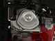 Ceccato Tritone Maxi - Biotrituratore a scoppio - motore Honda GX 390 - Avviamento elettrico