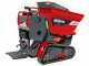 Motocarriola cingolata RAPTOR 7800 YEDT - Yanmar L100E