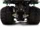 GreenBay TIPPER 300 HONDA GP160 - Motocarriola cingolata dumper ribaltabile 300Kg