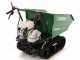 GreenBay TIPPER 300 HONDA GP160 - Motocarriola cingolata dumper ribaltabile 300Kg