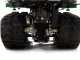 GreenBay TIPPER 300 HONDA GP160 - Motocarriola cingolata dumper ribaltabile 300Kg