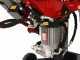 Ceccato Olindo SPLE10POLT - Spaccalegna elettrico - Orientabile - 400V