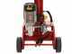 Ceccato Olindo BULL SPLE10T - Spaccalegna elettrico - Verticale - 400V