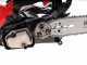 Blue Bird CSP 270 TC - Motosega a scoppio da potatura - Lama da 25cm