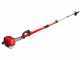 BlueBird PTT261 - Potatore a scoppio su asta telescopica - Lama da 30cm