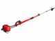 BlueBird PTT261 - Potatore a scoppio su asta telescopica - Lama da 30cm