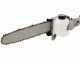 BlueBird PTT261 - Potatore a scoppio su asta telescopica - Lama da 30cm