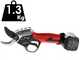 Blue Bird PS 22-38 - Forbice elettrica da potatura su asta - 21.6V 2.5Ah