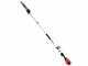 Echo DPAS-2600 - Potatore a batteria su asta - 56V 5Ah