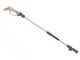 Worx WG324E - Potatore manuale a batteria 20V 2 Ah + asta di prolunga