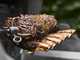 Girarrosto elettrico per Barbecue Weber Spirit
