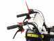 GreenBay EXPANDER-H 500 BS XR1450 - Motocarriola ribaltamento idraulico 500Kg