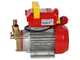 Rover 20 By-Pass - Elettropompa da travaso in bronzo - Monofase - 230V