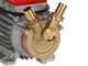 Rover 20 By-Pass - Elettropompa da travaso in bronzo - Monofase - 230V