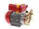 Rover 25 By-Pass - Elettropompa da travaso in bronzo