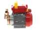 Rover 25 By-Pass - Elettropompa da travaso in bronzo - Monofase - 230V