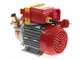 Rover 25 By-Pass - Elettropompa da travaso in bronzo - Monofase - 230V