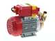 Rover 25 By-Pass - Elettropompa da travaso in bronzo - Monofase - 230V
