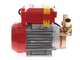 Rover 25 By-Pass - Elettropompa da travaso in bronzo - Monofase - 230V