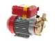 Rover 25 By-Pass - Elettropompa da travaso in bronzo - Monofase - 230V