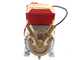 Rover 25 By-Pass - Elettropompa da travaso in bronzo - Monofase - 230V