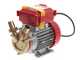 Rover 25 By-Pass - Elettropompa da travaso in bronzo - Monofase - 230V