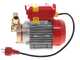 Rover 25 By-Pass - Elettropompa da travaso in bronzo - Monofase - 230V