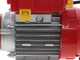 Rover 25 By-Pass - Elettropompa da travaso in bronzo - Monofase - 230V