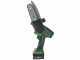 GreenBay TopSaw 5C - Potatore a batteria su asta - 2 batterie da 16,8V - 2Ah