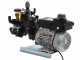 Comet APS 31 - Motopompa elettrica per irrorazione - Motore monofase 2 HP
