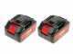 Lisam SG 21 - Potatore manuale a batteria - 2 batterie da 18V 4Ah