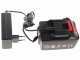 Lisam SG 21 - Potatore manuale a batteria - 2 batterie da 18V 4Ah