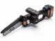Lisam SG 21 - Potatore manuale a batteria - 2 batterie da 18V 4Ah
