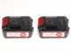 Sbaraglia ARES-22 - Potatore a batteria su asta di prolunga - 2 Batterie da 5.2 Ah/21V