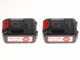 Sbaraglia ARES-22 - Potatore a batteria su asta telescopica - 2 Batterie da 5.2 Ah/21V