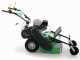 Lampacrescia MGM TTR560 - Trinciaerba a martelli - Honda GX160
