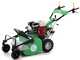 Lampacrescia MGM TTR580/S - Trinciaerba a martelli - Honda GX200