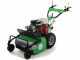Lampacrescia MGM TTR690 - Trinciaerba a martelli  - Honda GX270