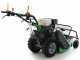 Lampacrescia MGM TTR690 - Trinciaerba a martelli  - Honda GX270