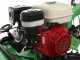 Lampacrescia MGM TTR690 - Trinciaerba a martelli  - Honda GX270