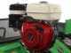 Lampacrescia MGM TTR690 - Trinciaerba a martelli  - Honda GX270