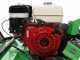 Lampacrescia MGM TTR690 - Trinciaerba a martelli  - Honda GX270